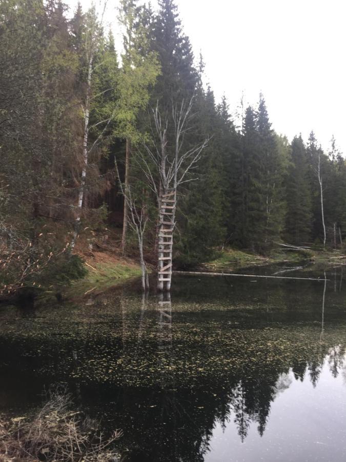 Apartman “U Nas V Podkrovi“ V Rezidenci Klostermann, Zelezna Ruda 24 Экстерьер фото